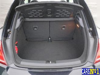 Volkswagen Beetle  picture 20
