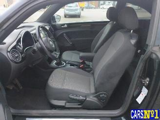 Volkswagen Beetle  picture 15