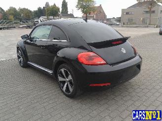 Volkswagen Beetle  picture 6