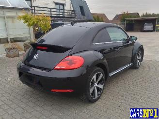 Volkswagen Beetle  picture 4