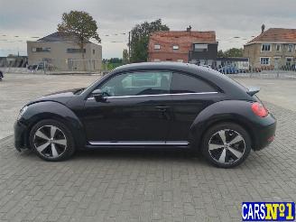 Volkswagen Beetle  picture 7