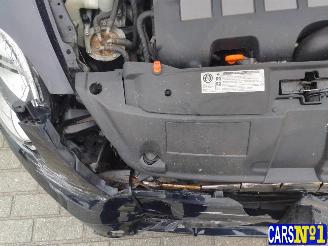 Volkswagen Beetle  picture 11