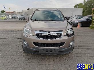 Opel Antara  picture 2