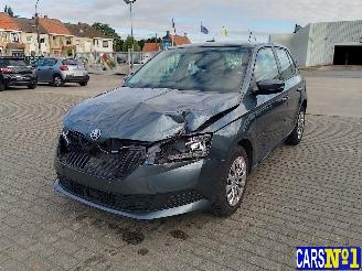 Auto incidentate Skoda Fabia  2019/12