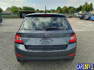 Skoda Fabia  picture 5