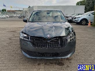 Skoda Fabia  picture 2