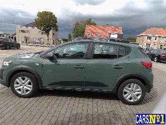 Dacia Sandero  picture 6