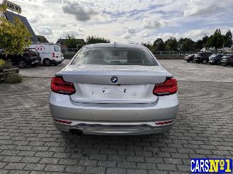 BMW 2-serie  picture 9