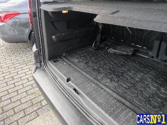 Peugeot Rifter  picture 19