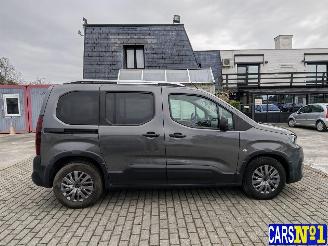 Peugeot Rifter  picture 7