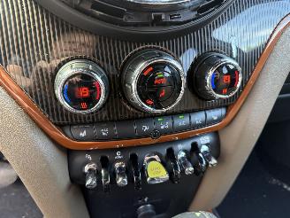 Mini Countryman Cooper S E ALL4 Chili picture 24
