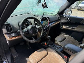 Mini Countryman Cooper S E ALL4 Chili picture 20