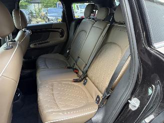 Mini Countryman Cooper S E ALL4 Chili picture 27