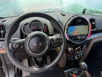 Mini Countryman Cooper S E ALL4 Chili picture 21