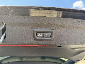 Mini Countryman Cooper S E ALL4 Chili picture 7