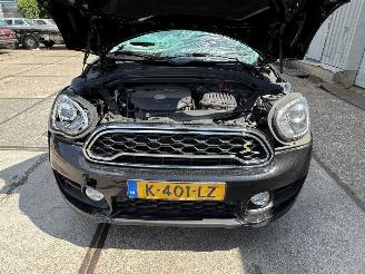 Mini Countryman Cooper S E ALL4 Chili picture 13