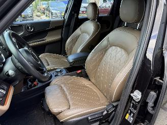 Mini Countryman Cooper S E ALL4 Chili picture 26
