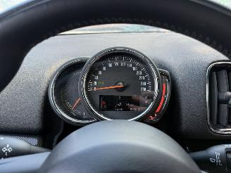 Mini Countryman Cooper S E ALL4 Chili picture 22