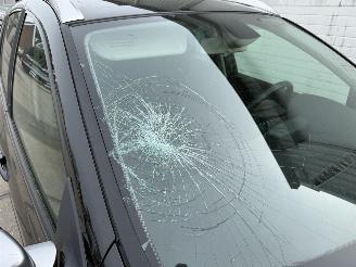 Renault Clio 1.2-16V Night & Day picture 3