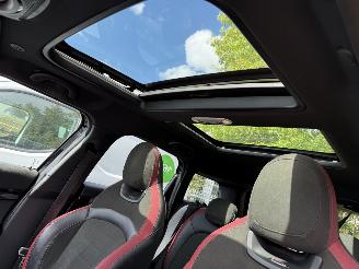 Mini Countryman 2.0 JCW ALL4 Chili Automaat picture 20