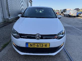 Volkswagen Polo 1.0 TSI Bluemotion Edition picture 16