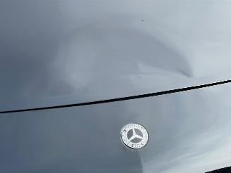 Mercedes A-klasse 180 AMG LINE PANORAMADAK NAVI CAMERA LED picture 12