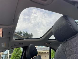 Mercedes E-klasse 300 de AVANTGARDE PANO WIDESCREEN CAMERA NAVI picture 7