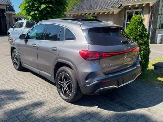 Mercedes EQA 250 AMG LINE PANO CAMERA NAVI LED picture 3
