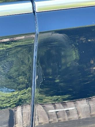 Mercedes GLE 350 de 4MATIC AMG LINE PANO LED picture 16