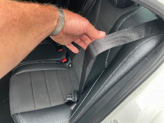 Mercedes E-klasse 220 d AMG LINE PANO NAVI CAMERA LED picture 17