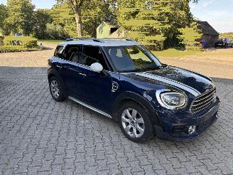 Mini Countryman 1.5 EDITION NAVI CLIMA CAMERA LED KEYLESS PDC B.J 07-2019 picture 11