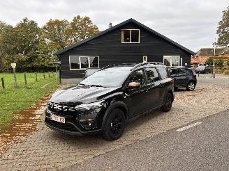 Schadeauto Dacia Jogger HYBRIDE 1.6 AUTOMAAT 7 Pers NAVI CLIMA CAMERA CRUISE B.J 2025 2025/7
