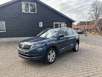 Skoda Kodiaq 1.5 AUTOMAAT 150 PK NAVI CLIMA LEER CAMERA B.J 2019 2019/1