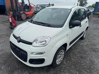 Fiat Panda  picture 2