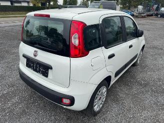 Fiat Panda  picture 5