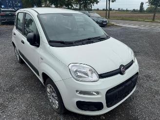 Fiat Panda  picture 3