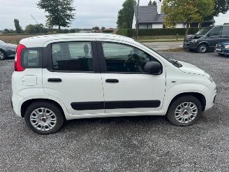 Fiat Panda  picture 4