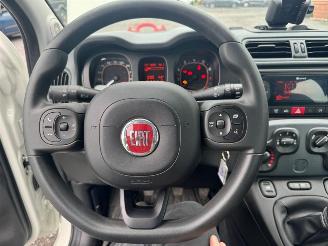 Fiat Panda  picture 13