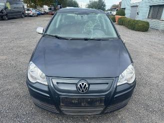 Volkswagen Polo  picture 2