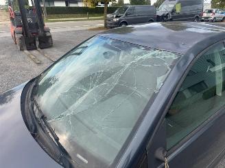 Volkswagen Polo  picture 10