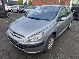 Avarii autoturisme Peugeot 307  2004/9