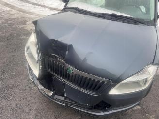 Skoda Fabia  picture 9