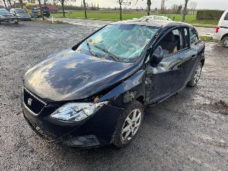 škoda osobní automobily Seat Ibiza  2009/9