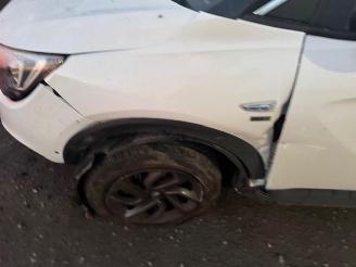 Opel Crossland  picture 10