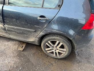 Volkswagen Golf V picture 7