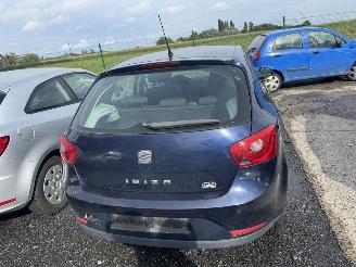 Seat Ibiza  picture 5