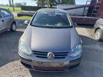 Volkswagen Golf V picture 12