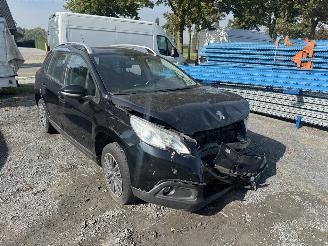 Peugeot 2008 ACTIVE picture 12