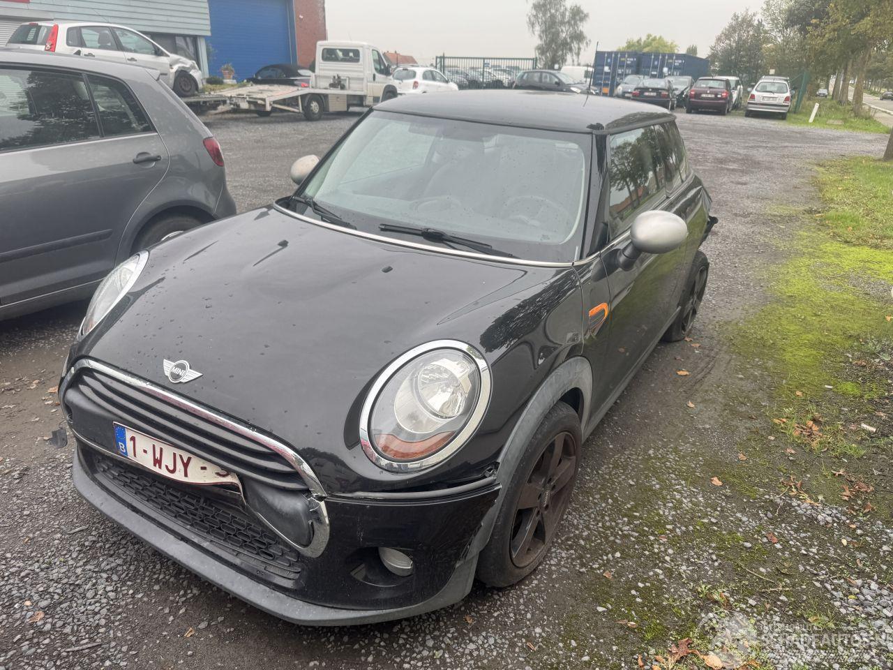 Mini One D