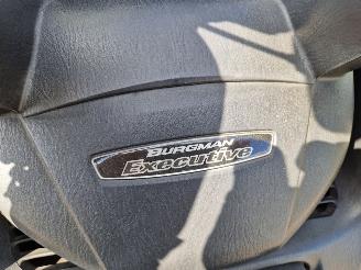 Suzuki  AN 650 BURGMAN EXECUTIVE picture 8